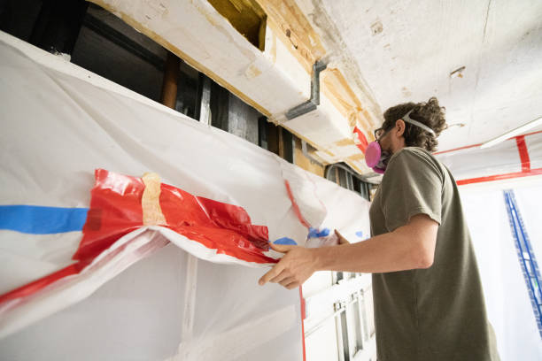 Mold Documentation for Insurance Claims in South St Paul, MN