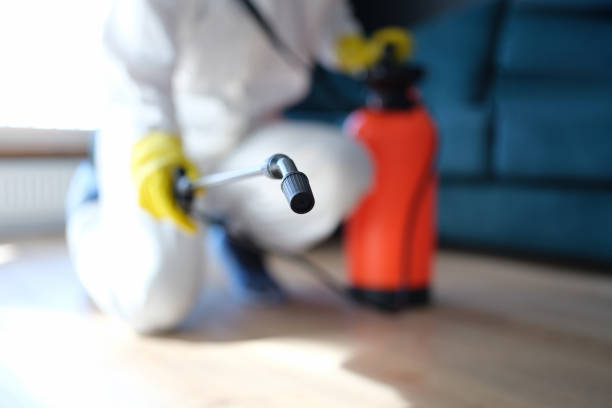 Best HVAC Mold Inspection and Cleaning  in South St Paul, MN