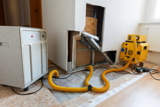 Best Crawl Space Mold Remediation  in South St Paul, MN