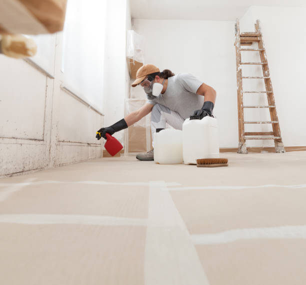 Best Mold Documentation for Insurance Claims  in South St Paul, MN